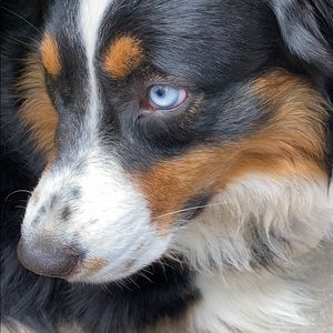 Meet your Posher, Julie